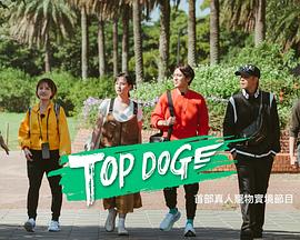 黑料视频《TOP DOG》免费在线观看