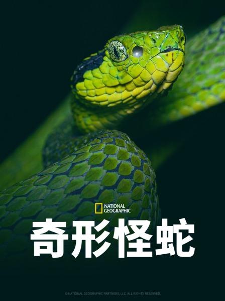 黑料论坛《奇形怪蛇》免费在线观看